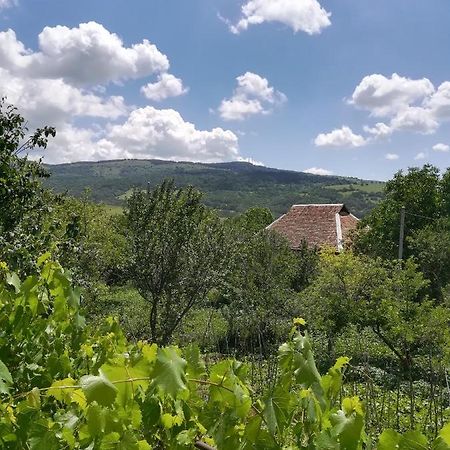 Guest House LUKA Manglisi Extérieur photo